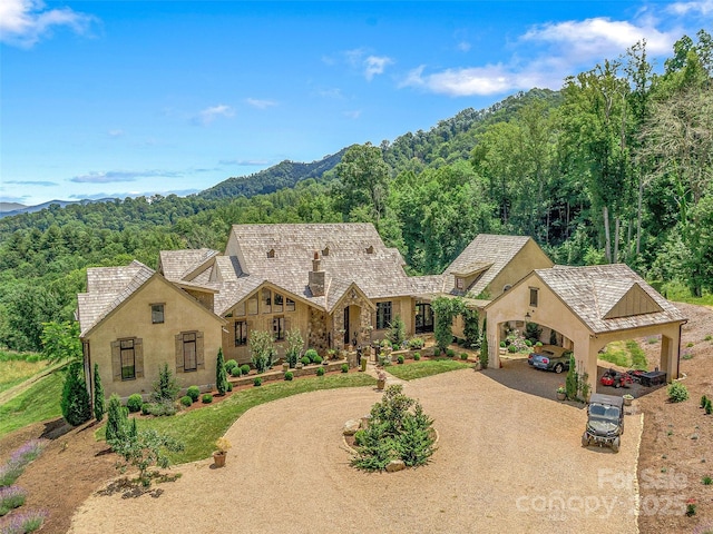 view of front facade with a forest view, curved driveway, stone siding, and stucco siding