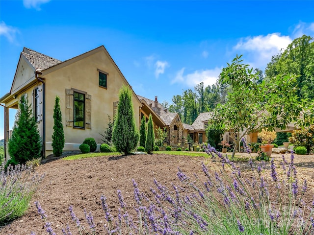 back of house with stucco siding