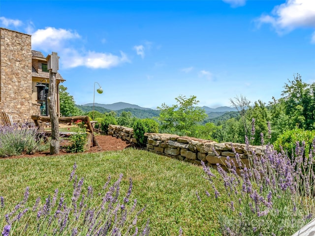 view of yard with a mountain view