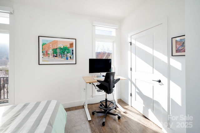 55 S Market St Unit 101, Asheville, NC 28801 - bedroom with multiple windows, baseboards, and wood finished floors