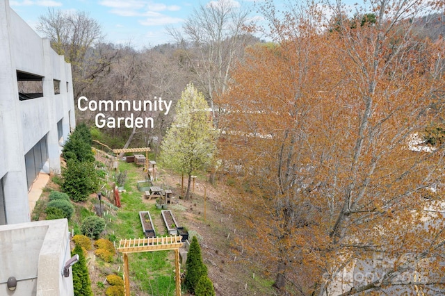 55 S Market St Unit 101, Asheville, NC 28801 - exterior space
