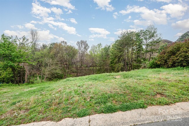 9274 Naron Ln, Harrisburg, NC 28075 - photo 9