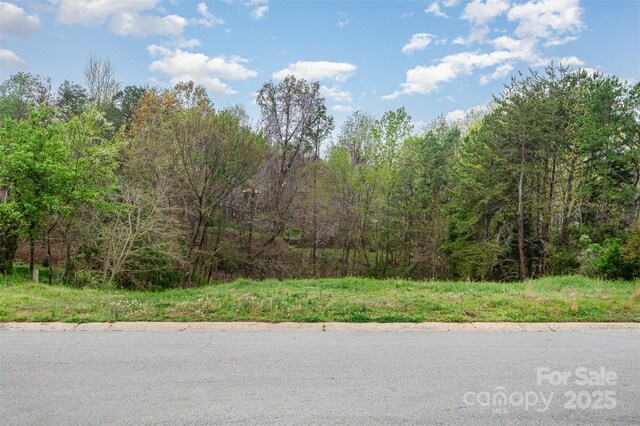 9274 Naron Ln, Harrisburg, NC 28075 - photo 12