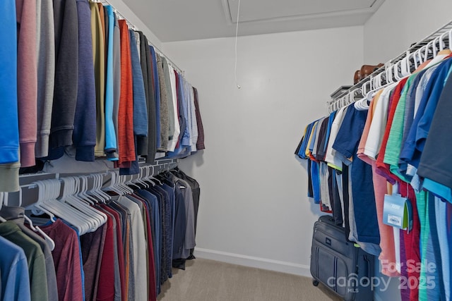 2439 Heathershire Ln, Matthews, NC 28105 - walk in closet with attic access and carpet floors