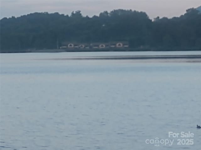 1465 S Lakeshore Dr Unit D1, Lake Junaluska, NC 28745 - photo 24