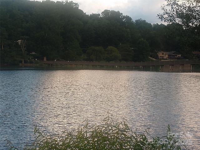 1465 S Lakeshore Dr Unit D1, Lake Junaluska, NC 28745 - photo 25