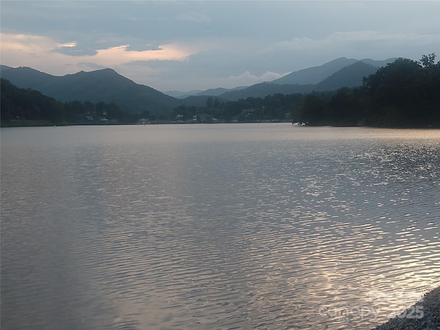 1465 S Lakeshore Dr Unit D1, Lake Junaluska, NC 28745 - photo 27