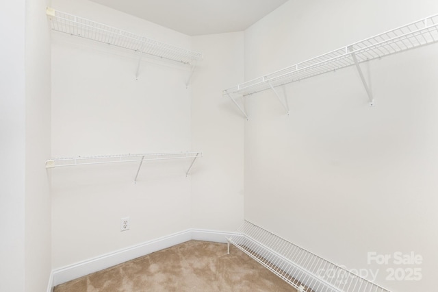 10429 Madison Park Dr, Charlotte, NC 28269 - photo 17