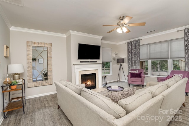 3009 Early Rise Ave, Indian Trail, NC 28079 - photo 11