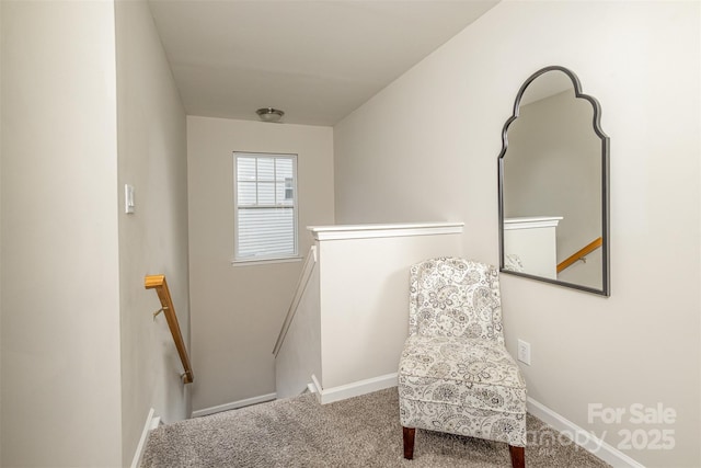 3009 Early Rise Ave, Indian Trail, NC 28079 - photo 24