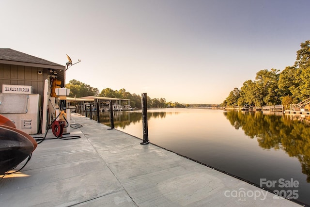 dock area with a water view