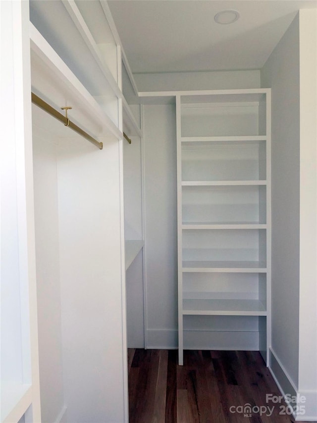 spacious closet with dark wood-type flooring