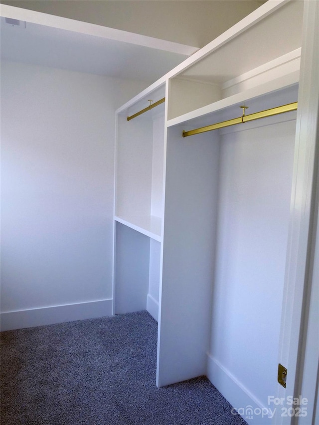 spacious closet with carpet flooring