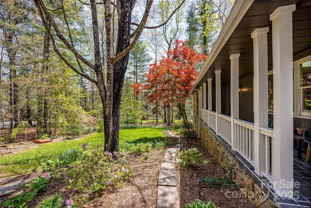 4030 Little River Rd, Hendersonville, NC 28739 - photo 35