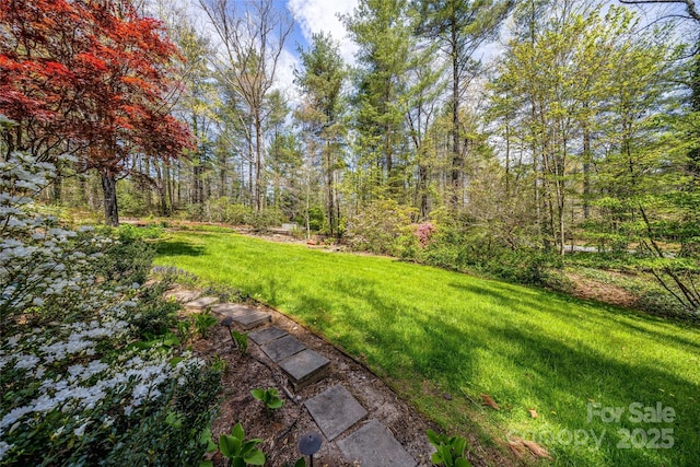 4030 Little River Rd, Hendersonville, NC 28739 - photo 37