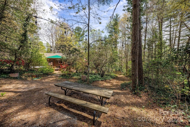 4030 Little River Rd, Hendersonville, NC 28739 - photo 41