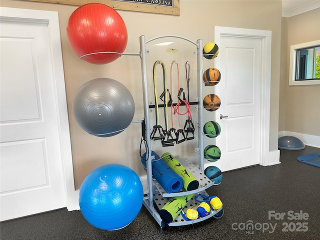 2097 Saddlebred Dr, Iron Station, NC 28080 - view of exercise area