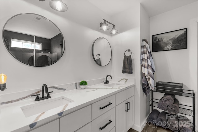 bathroom with double vanity and a sink