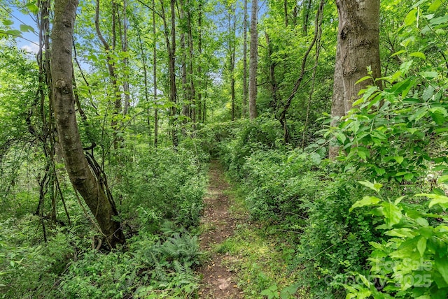 9 Mikayla Ln, Candler, NC 28715 - view of woods