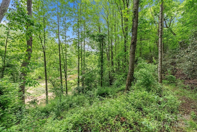 9 Mikayla Ln, Candler, NC 28715 - view of woods