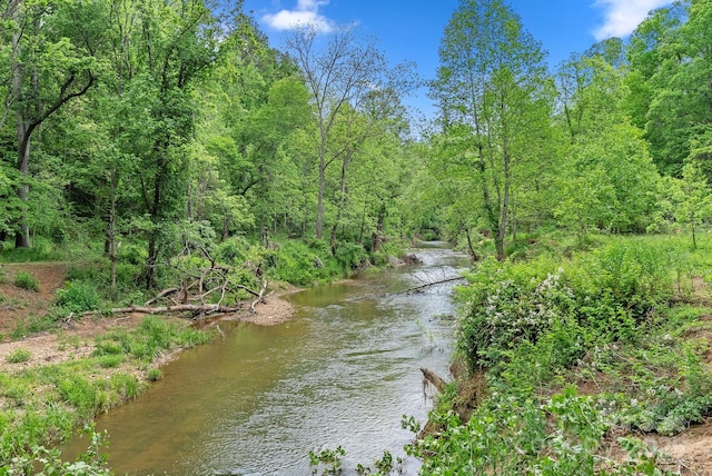 9 Mikayla Ln, Candler, NC 28715 - water view
