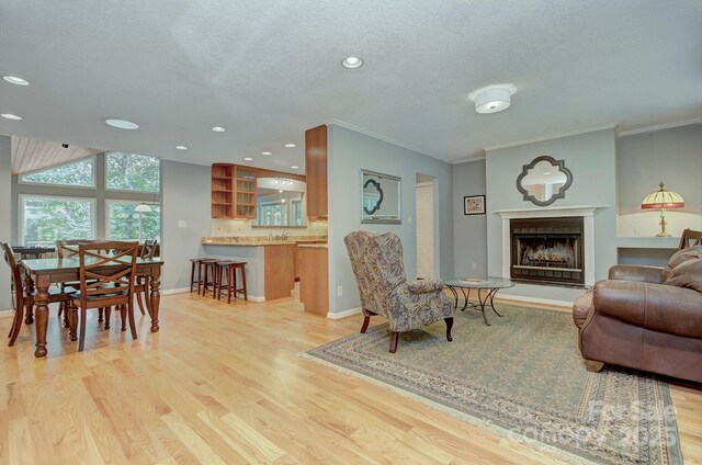 80 Vance Gap Rd, Asheville, NC 28805 - living area with a textured ceiling, crown molding, a fireplace with raised hearth, and light wood-style floors