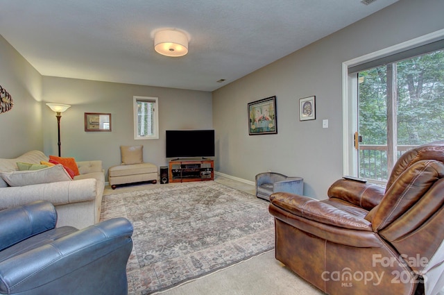 80 Vance Gap Rd, Asheville, NC 28805 - living area with plenty of natural light and carpet flooring