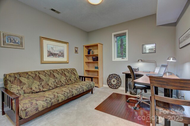 80 Vance Gap Rd, Asheville, NC 28805 - office area with baseboards, visible vents, carpet flooring, and a textured ceiling