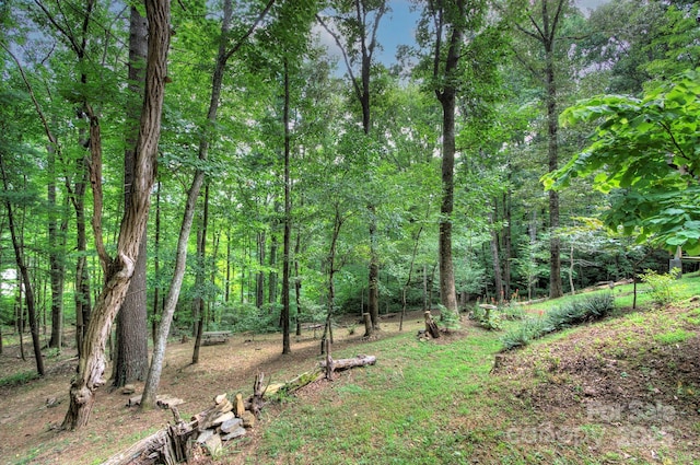 80 Vance Gap Rd, Asheville, NC 28805 - view of local wilderness featuring a view of trees
