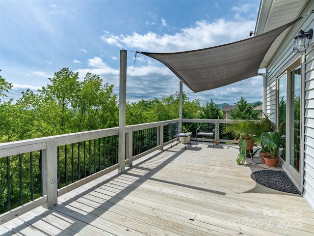 12 Paul Bridges Rd, Alexander, NC 28701 - photo 31