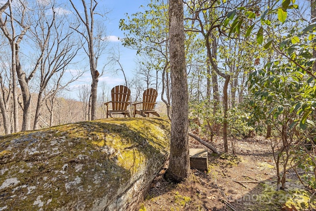 650 Faircrest Ln, Penrose, NC 28766 - view of yard