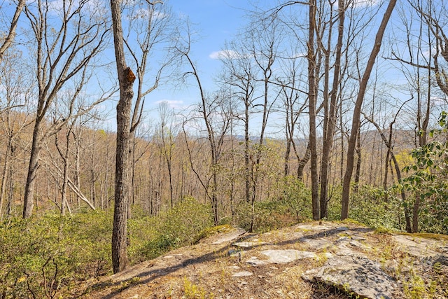 650 Faircrest Ln, Penrose, NC 28766 - view of tree filled area
