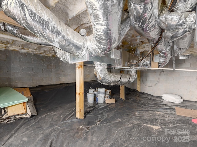 basement featuring crawl space