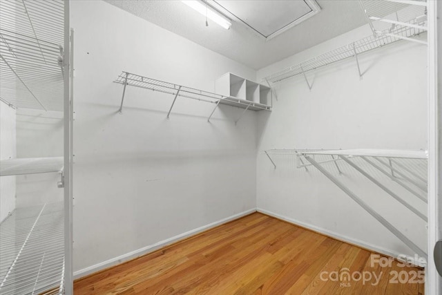 walk in closet featuring light wood-type flooring