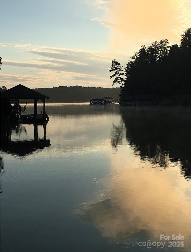 56 Lake Mist Ct Unit 30 & 30A, Nebo, NC 28761 - water view featuring a boat dock