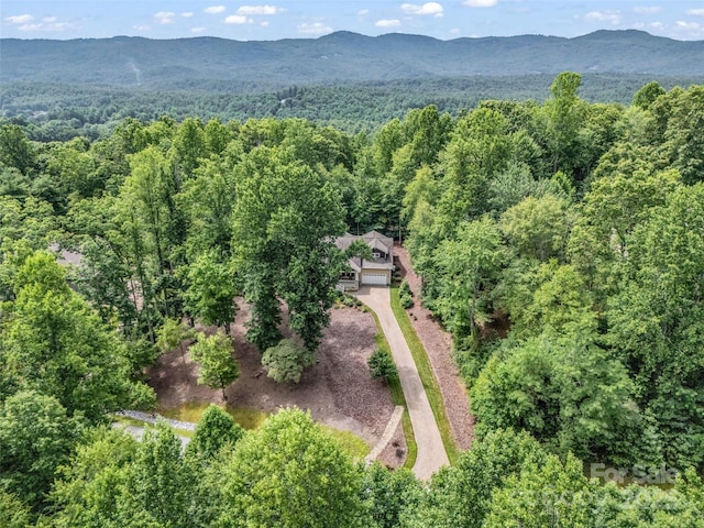 349 Monarch Rd, Hendersonville, NC 28739 - photo 39