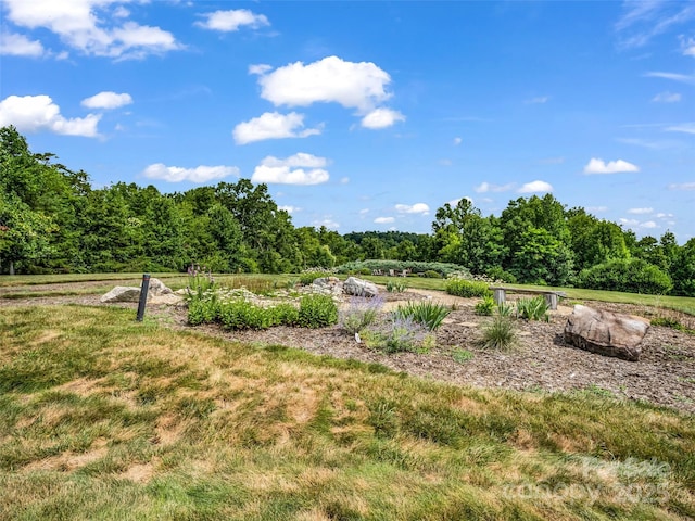 349 Monarch Rd, Hendersonville, NC 28739 - photo 42