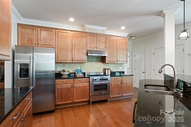 kitchen featuring under cabinet range hood, crown molding, appliances with stainless steel finishes, and a sink