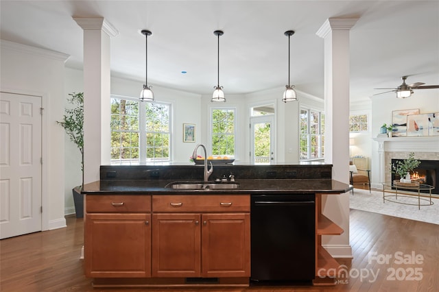 kitchen featuring dishwasher, dark wood finished floors, open floor plan, and a sink