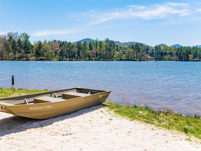 property view of water featuring a forest view and a mountain view