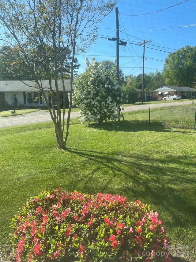 view of yard