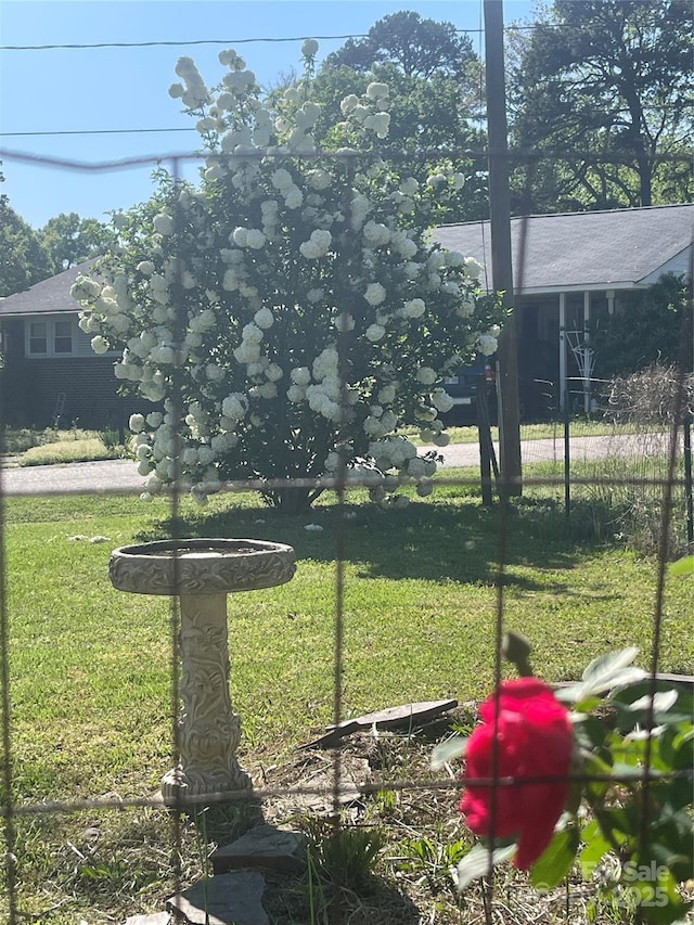 view of yard