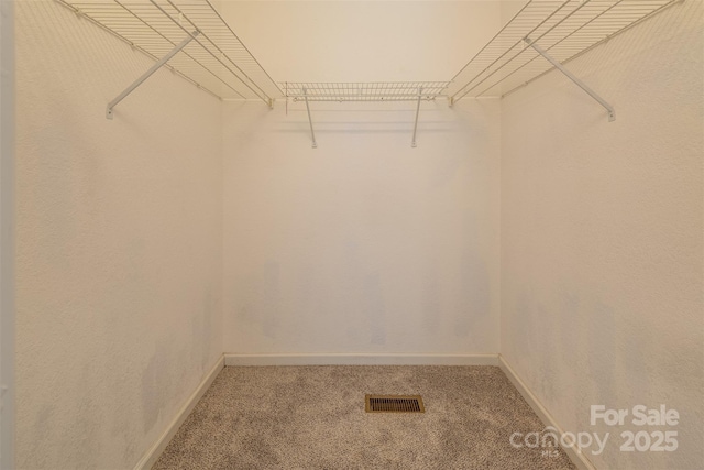 walk in closet with carpet and visible vents