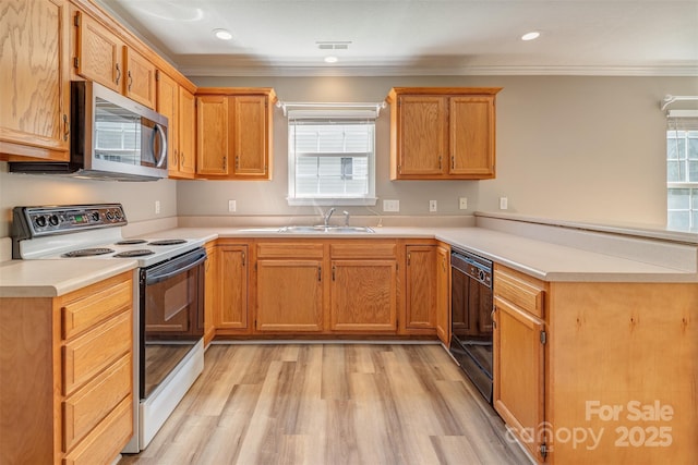 kitchen featuring white electric range oven, black dishwasher, a peninsula, stainless steel microwave, and a healthy amount of sunlight