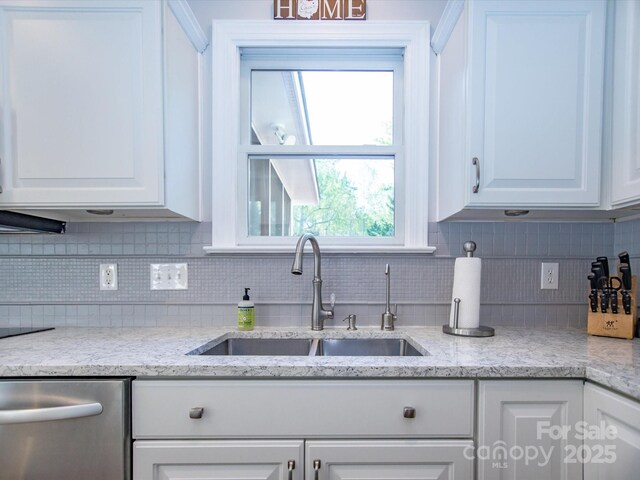 kitchen featuring white cabinets, stainless steel dishwasher, tasteful backsplash, and a sink