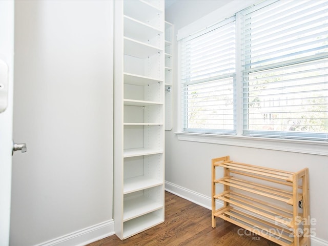 closet with radiator heating unit