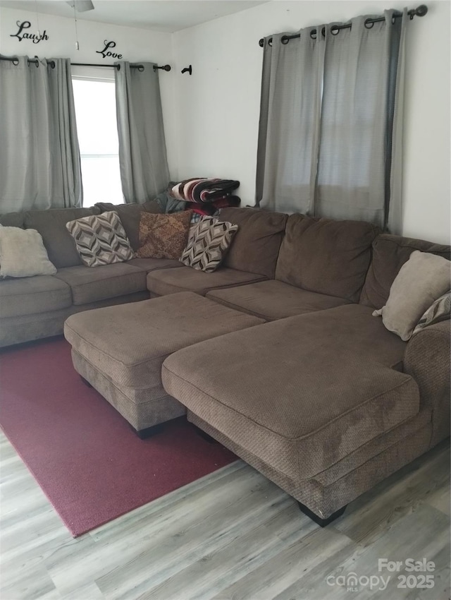 living room featuring wood finished floors