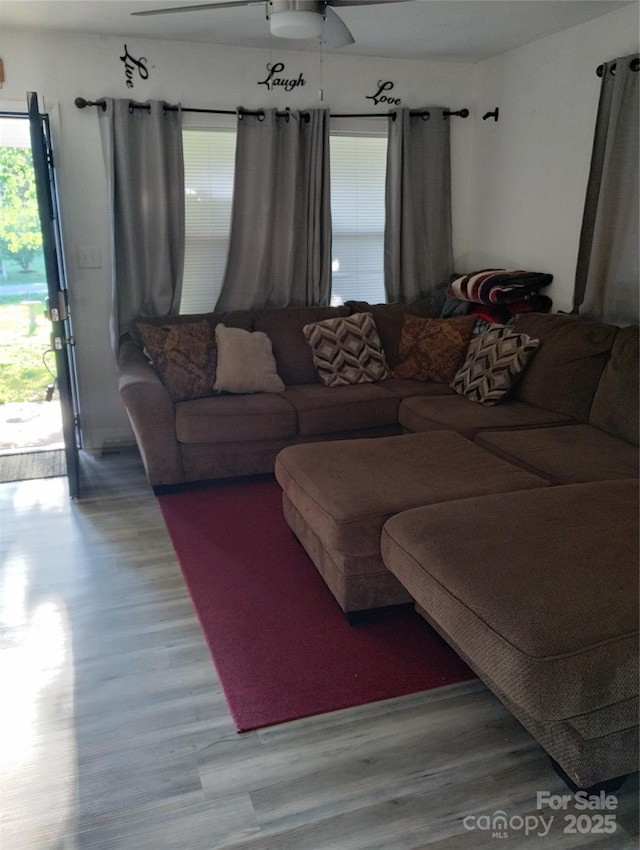 living room featuring ceiling fan and light wood-style flooring