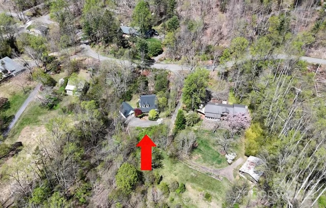 161 Hamburg Mountain Rd, Weaverville, NC 28787 - view of property location