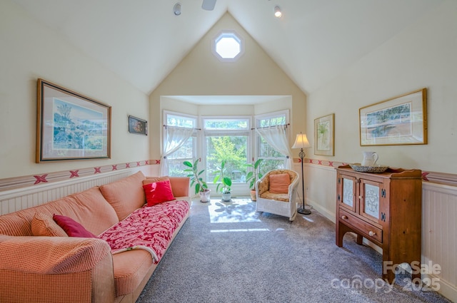 161 Hamburg Mountain Rd, Weaverville, NC 28787 - living area featuring carpet floors, wainscoting, high vaulted ceiling, and plenty of natural light